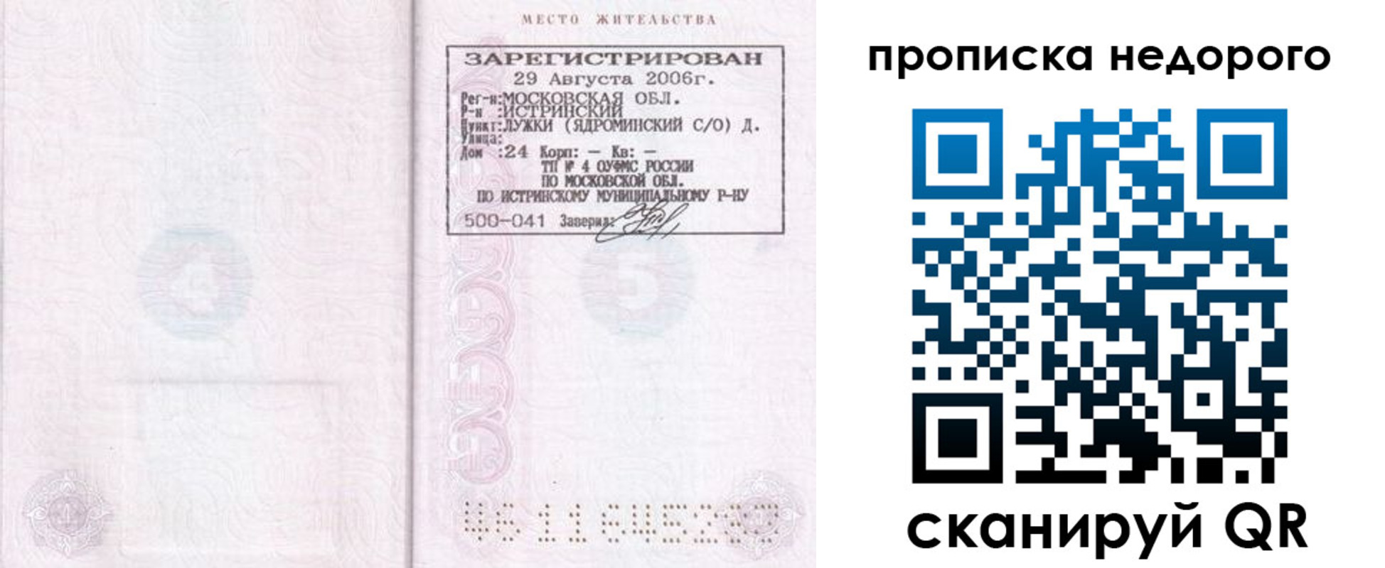 прописка 2025 в Кольчугино