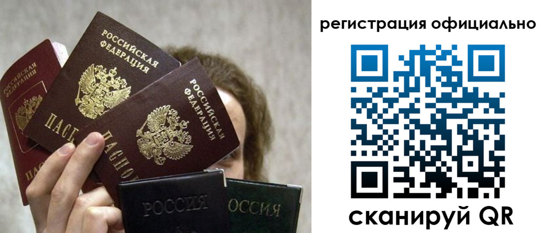 где прописаться в Кольчугино